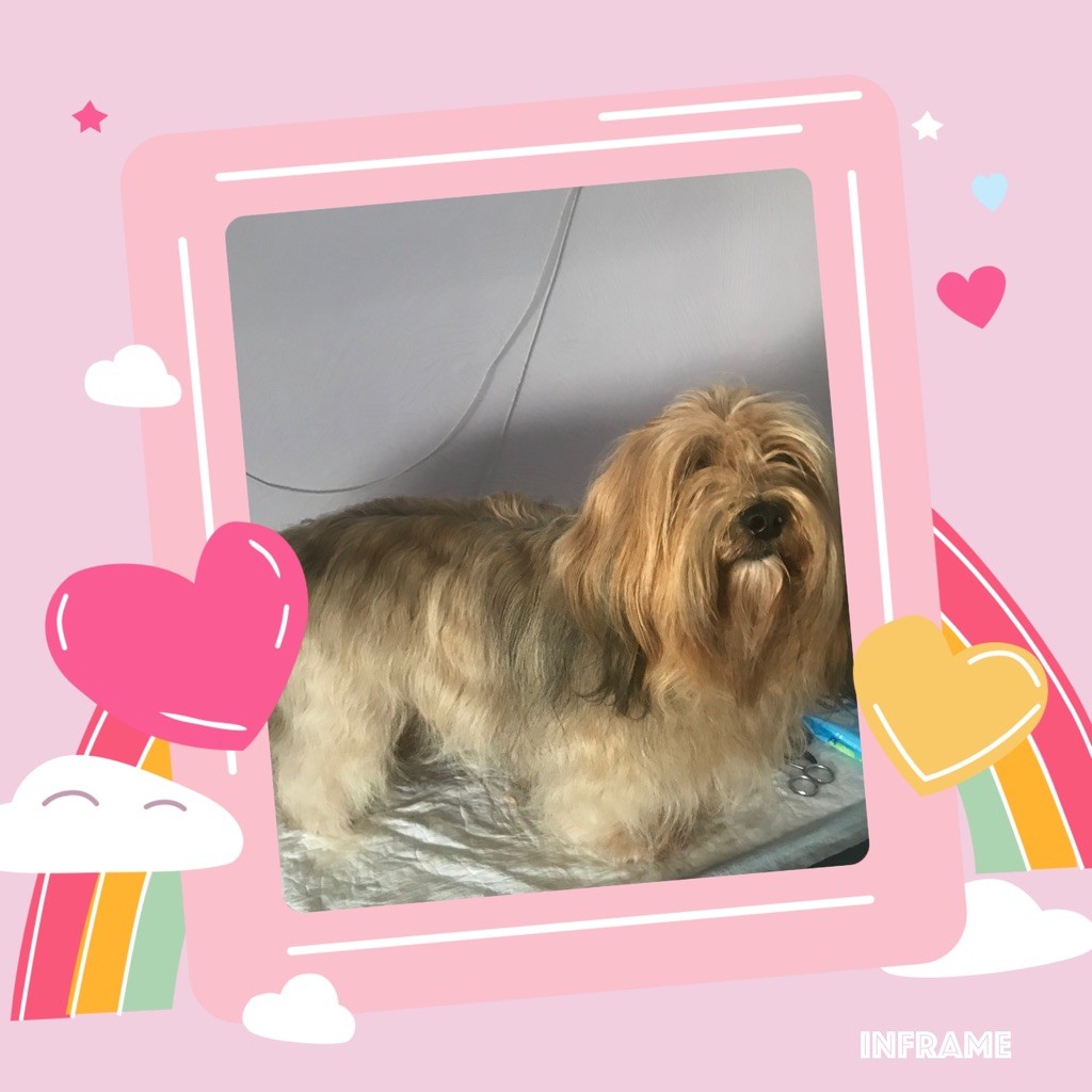 Ubby des petits fauves de Thierac