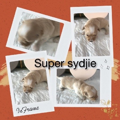 Super